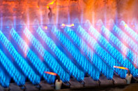 Caldbergh gas fired boilers